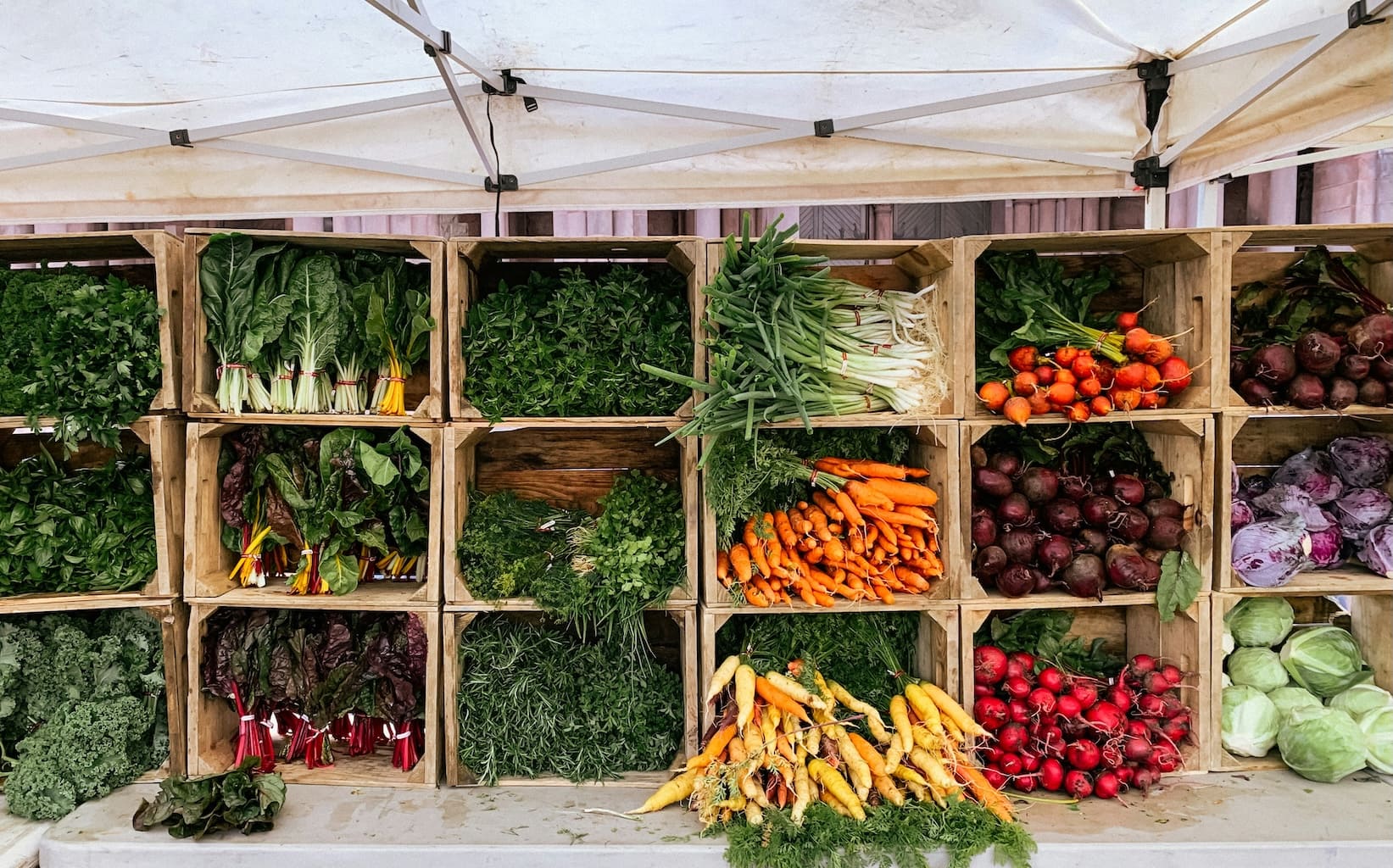 Wellness through food
